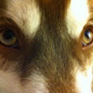 Meet your Posher, Jayme